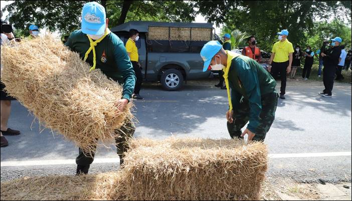 จิตอาสาพระราชทาน นำหญ้าอาหารสัตว์พระราชทาน ช่วยเหลือควาย วัดไก่เตี้ย