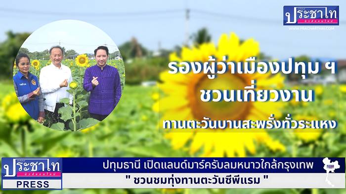 ปทุมธานี เปิดแลนด์มาร์ครับลมหนาวใกล้กรุงเทพ ชวนชมทุ่งทานตะวันซีพีแรม