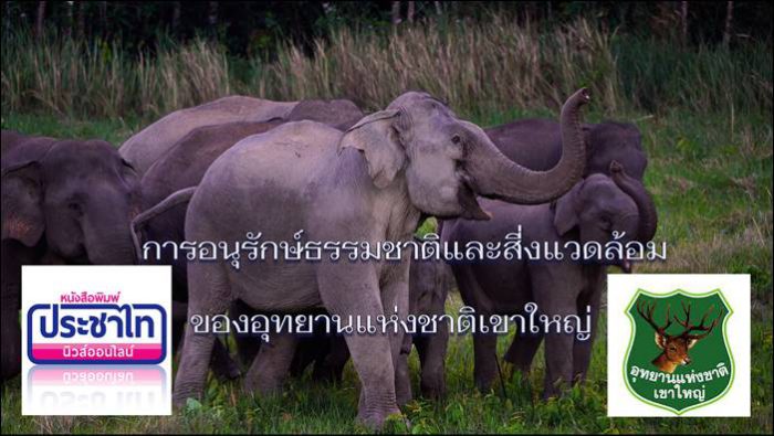 การอนุรักษ์ธรรมชาติและสิ่งแวดล้อมของอุทยานแห่งชาติเขาใหญ่ คุณ ชัยยา ห้วยหงส์ทอง หัวหน้าอุทยานแห่งชาติเขาใหญ่