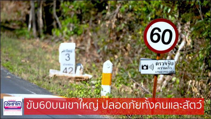 ขับ 60 กม.ต่อชั่วโมง บนเขาใหญ่ ปลอดภัยทั้งคนและสัตว์ เส้นทางหมายเลข 3077 เป็นถนนที่ตัดผ่านเขาใหญ่จากจังหวัดปราจีนบุรีข้ามไปยังจังหวัดนครราชสีมา