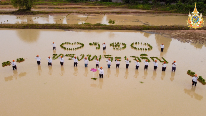 เทิดพระเกียรติ พระบาทสมเด็จพระเจ้าอยู่หัว รัชกาลที่ 10 