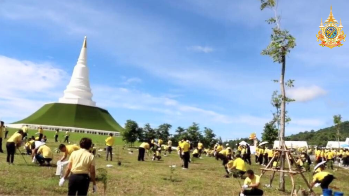 กองทัพอากาศเปิด “โครงการนคราฟ้าร่วมใจ ปลูกต้นไม้เพิ่มพื้นที่สีเขียว” 