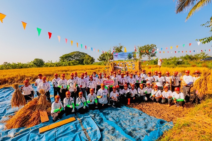 จังหวัดนครราชสีมา สืบสานประเพณีไทย ทำขวัญข้าวและร่วมลงแขกเกี่ยวข้าว